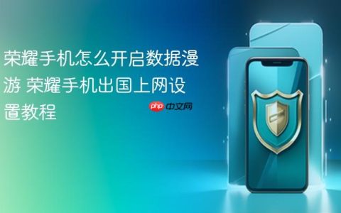荣耀手机怎么开启数据漫游 荣耀手机出国上网设置教程