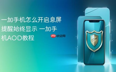 一加手机怎么开启息屏提醒始终显示 一加手机AOD教程