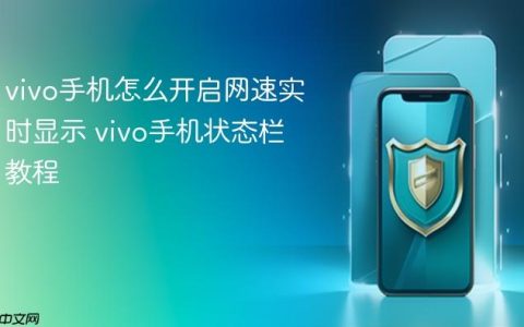 vivo手机怎么开启网速实时显示 vivo手机状态栏教程