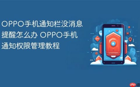 OPPO手机通知栏没消息提醒怎么办 OPPO手机通知权限管理教程