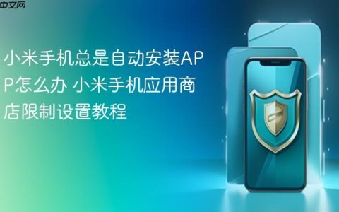 小米手机总是自动安装APP怎么办 小米手机应用商店限制设置教程