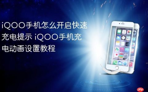 iQOO手机怎么开启快速充电提示 iQOO手机充电动画设置教程