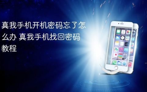 真我手机开机密码忘了怎么办 真我手机找回密码教程