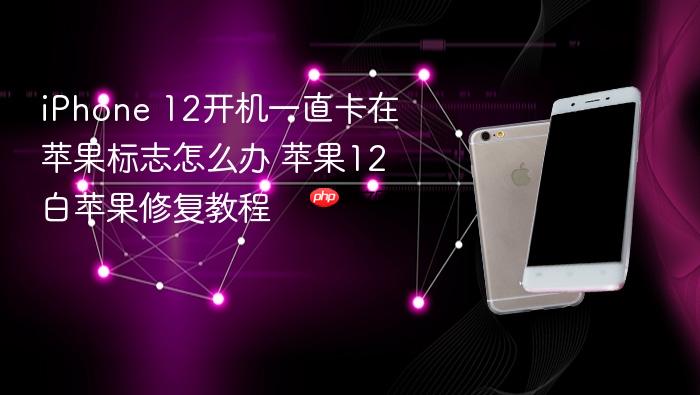 iphone 12开机一直卡在苹果标志怎么办 苹果12白苹果修复教程