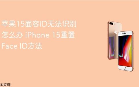 苹果15面容ID无法识别怎么办 iPhone 15重置Face ID方法