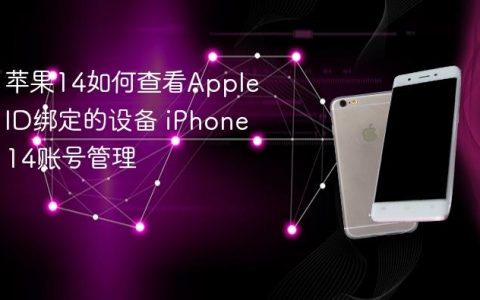 苹果14如何查看Apple ID绑定的设备 iPhone 14账号管理