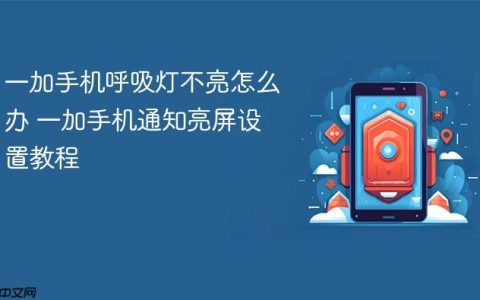 一加手机呼吸灯不亮怎么办 一加手机通知亮屏设置教程