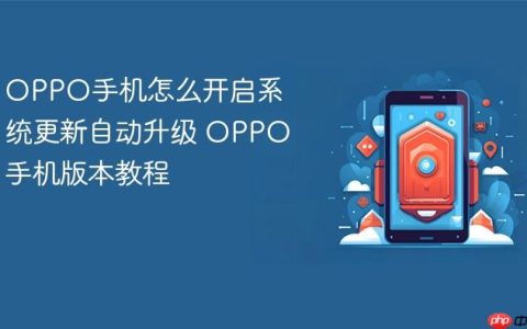 OPPO手机怎么开启系统更新自动升级 OPPO手机版本教程