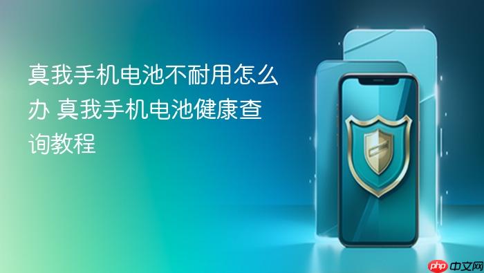 真我手机电池不耐用怎么办 真我手机电池健康查询教程