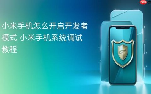 小米手机怎么开启开发者模式 小米手机系统调试教程