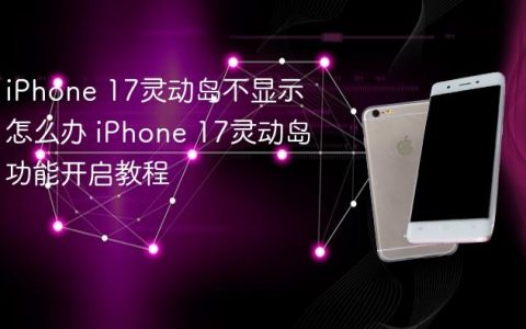 iPhone 17灵动岛不显示怎么办 iPhone 17灵动岛功能开启教程