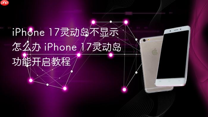 iphone 17灵动岛不显示怎么办 iphone 17灵动岛功能开启教程