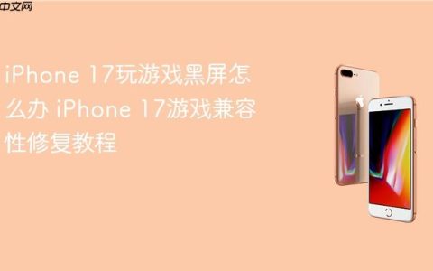 iPhone 17玩游戏黑屏怎么办 iPhone 17游戏兼容性修复教程