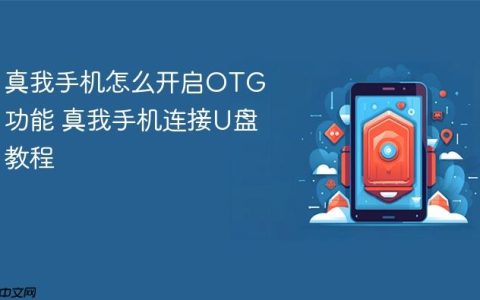 真我手机怎么开启OTG功能 真我手机连接U盘教程