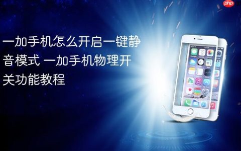 一加手机怎么开启一键静音模式 一加手机物理开关功能教程