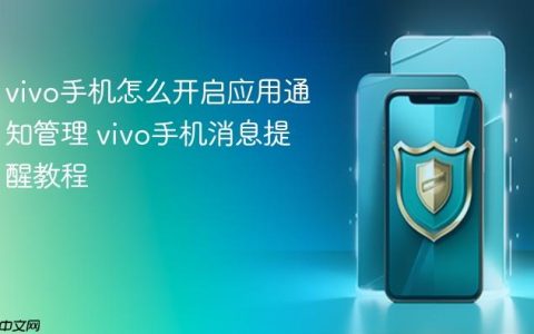vivo手机怎么开启应用通知管理 vivo手机消息提醒教程