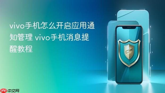vivo手机怎么开启应用通知管理 vivo手机消息提醒教程