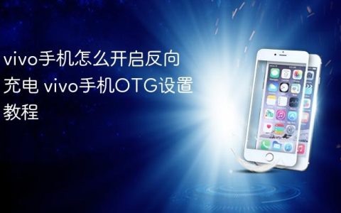 vivo手机怎么开启反向充电 vivo手机OTG设置教程