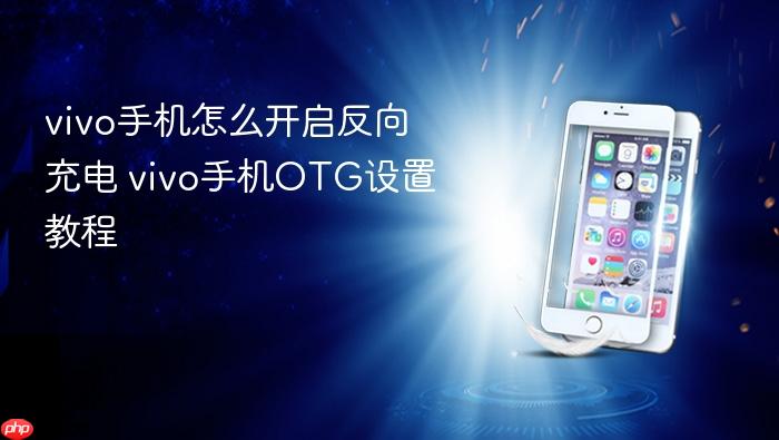 vivo手机怎么开启反向充电 vivo手机otg设置教程