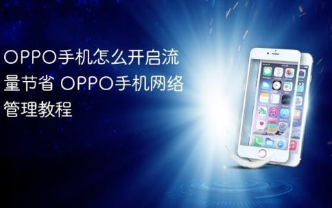 OPPO手机怎么开启流量节省 OPPO手机网络管理教程