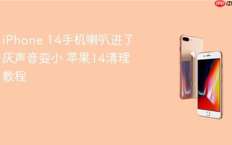 iPhone 14手机喇叭进了灰声音变小 苹果14清理教程