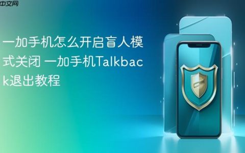 一加手机怎么开启盲人模式关闭 一加手机Talkback退出教程