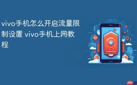 vivo手机怎么开启流量限制设置 vivo手机上网教程