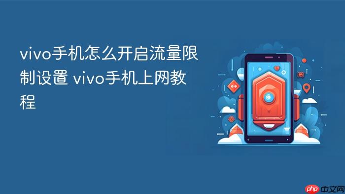 vivo手机怎么开启流量限制设置 vivo手机上网教程