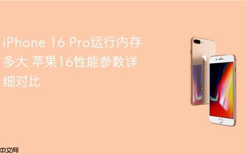 iPhone 16 Pro运行内存多大 苹果16性能参数详细对比