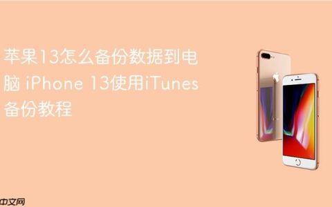 苹果13怎么备份数据到电脑 iPhone 13使用iTunes备份教程