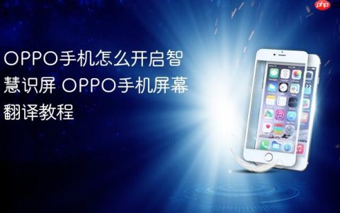 OPPO手机怎么开启智慧识屏 OPPO手机屏幕翻译教程