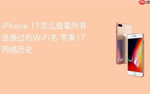 iPhone 17怎么查看所有连接过的WiFi名 苹果17网络历史