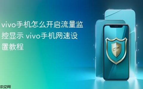 vivo手机怎么开启流量监控显示 vivo手机网速设置教程