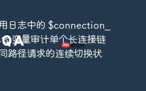 如何利用日志中的 $connection?requests 变量审计单个长连接链路上不同路径请求的连续切换状态
