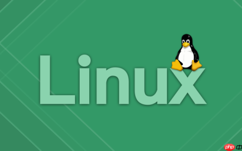 Linux 网络物理链路排查：使用 mii-tool 进行状态检测