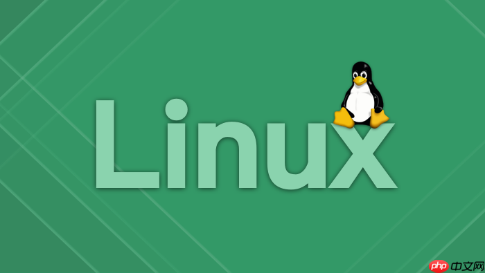 linux 网络物理链路排查：使用 mii-tool 进行状态检测