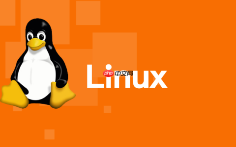Linux 网络通信协议转换：编写 Socat 脚本实现桥接
