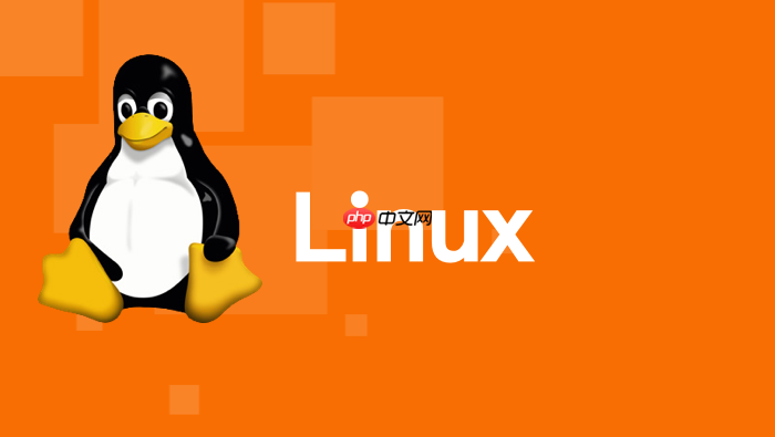 linux 网络通信协议转换：编写 socat 脚本实现桥接