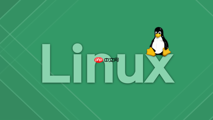 如何使用 rsync 工具实现 linux 目录的高效同步与备份