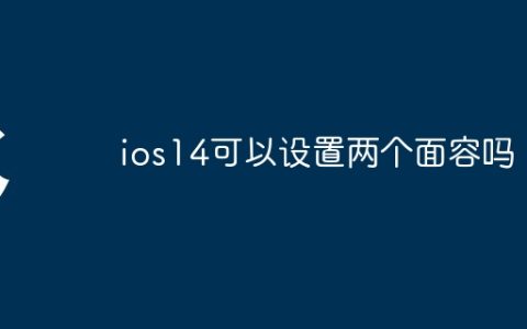 ios14可以设置两个面容吗
