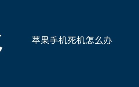 苹果手机死机怎么办