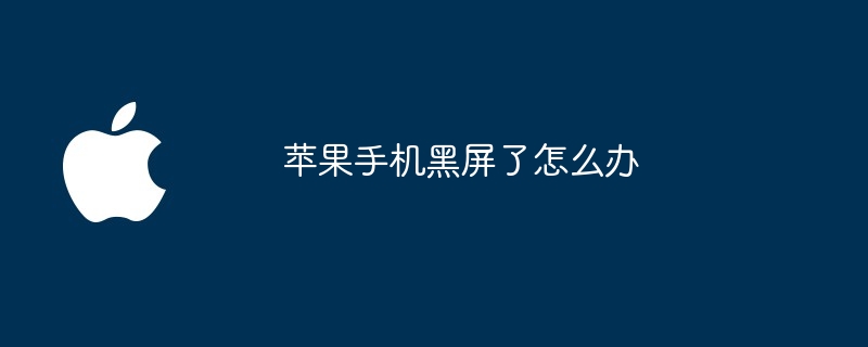 苹果手机黑屏了怎么办