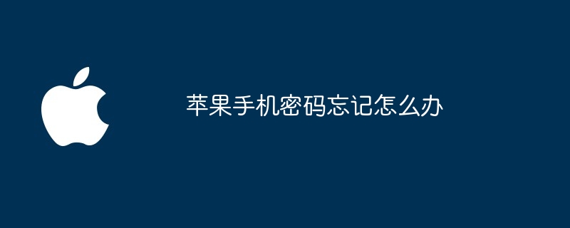 苹果手机密码忘记怎么办