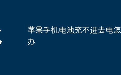 苹果手机电池充不进去电怎么办