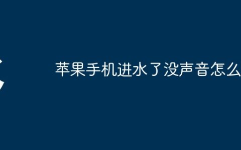 苹果手机进水了没声音怎么办
