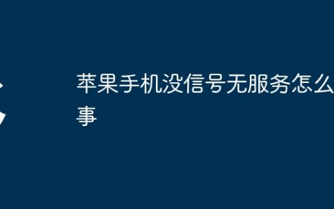 苹果手机没信号无服务怎么回事