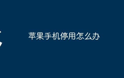 苹果手机停用怎么办