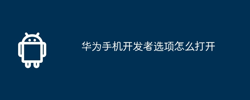 华为手机开发者选项怎么打开