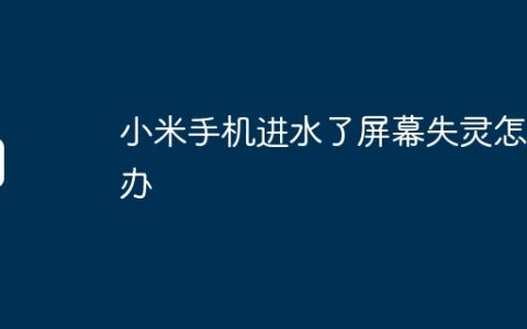 小米手机进水了屏幕失灵怎么办