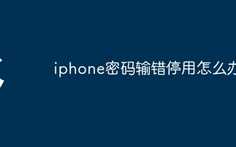 iphone密码输错停用怎么办